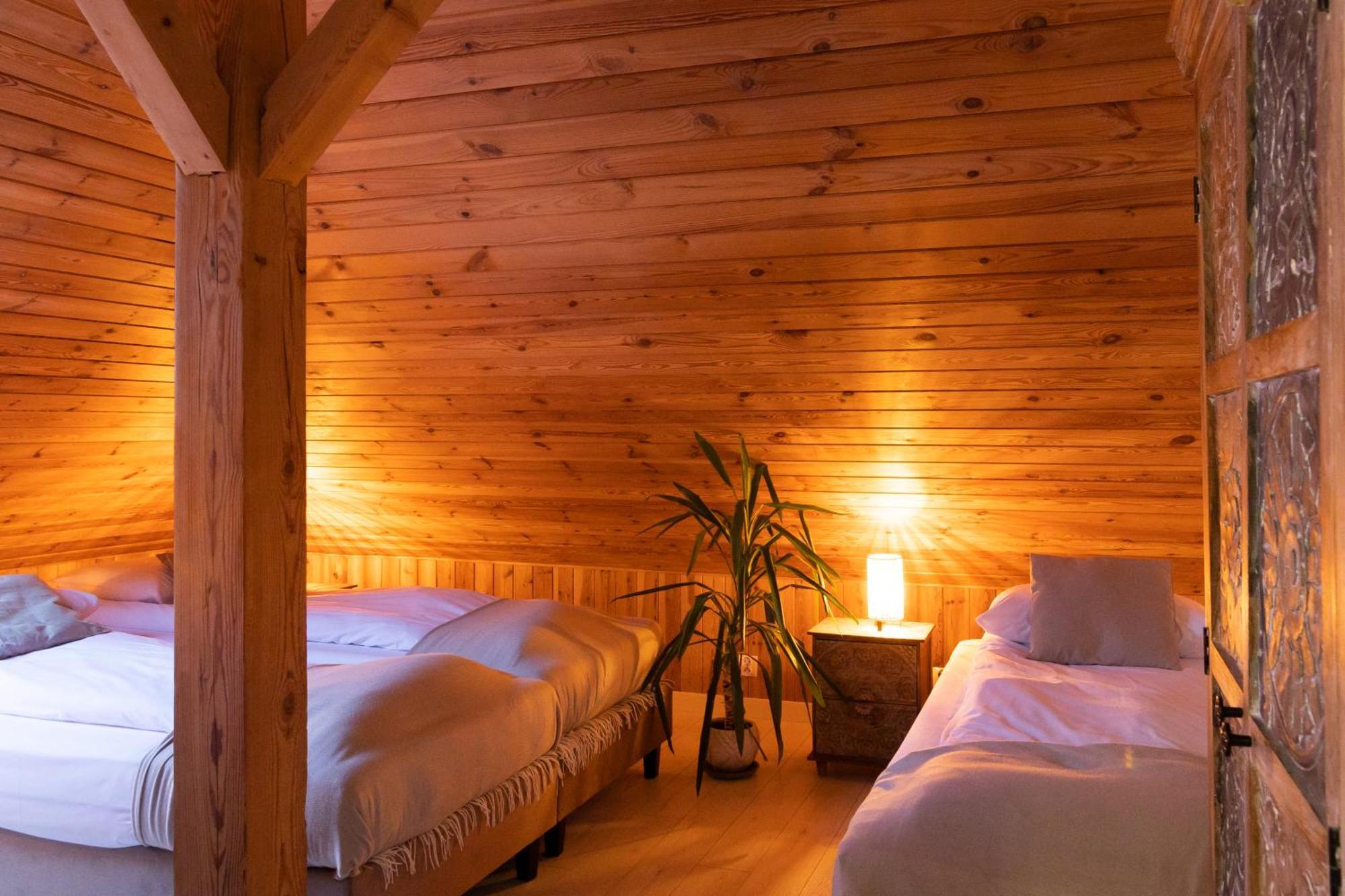 Blisshouse Luxurious Guesthouse Calm And Energetic Spot Near By City Surrounded By The Forest Where You Will Find Your Peace And Your People Cracovie Extérieur photo