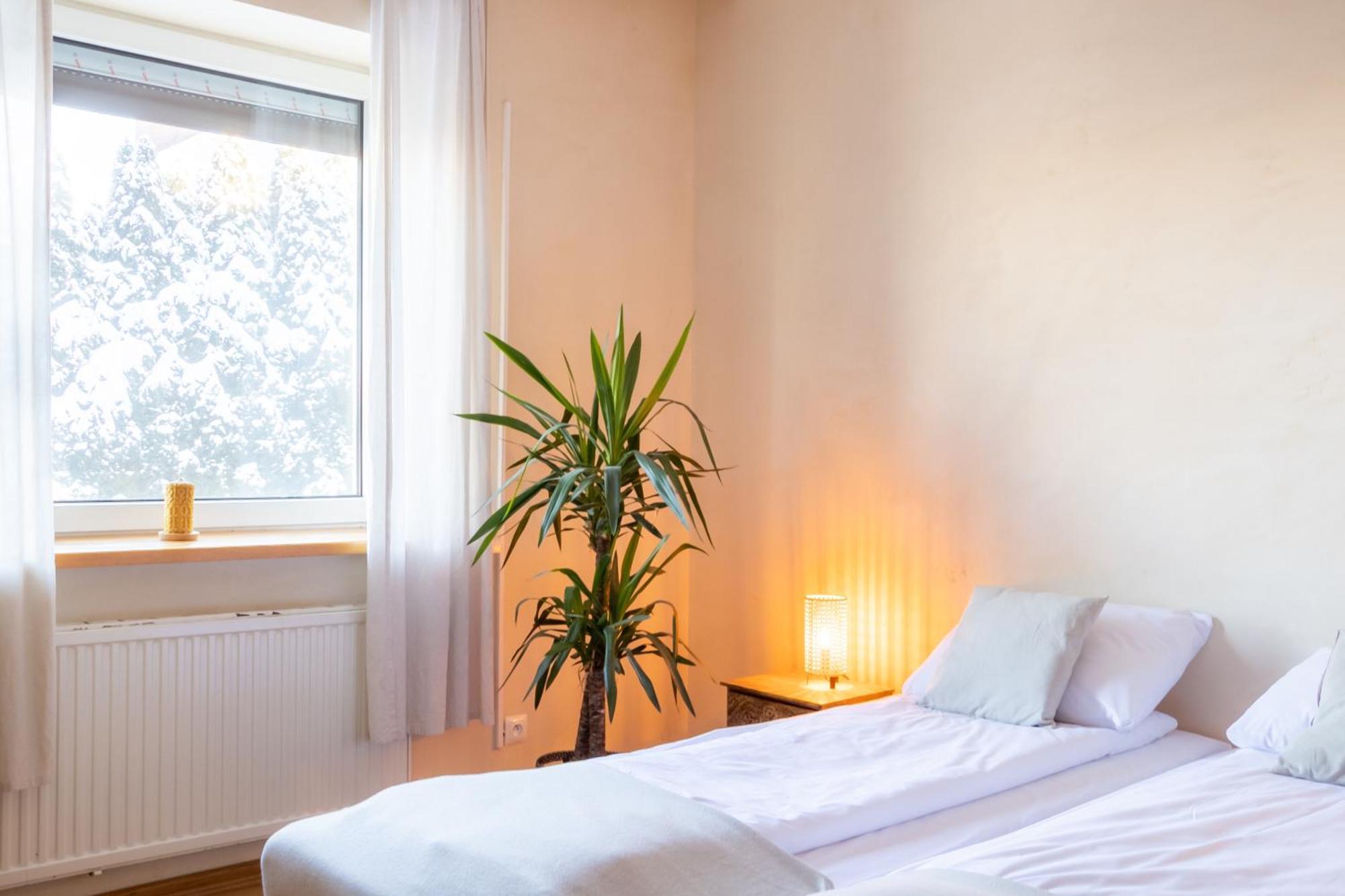Blisshouse Luxurious Guesthouse Calm And Energetic Spot Near By City Surrounded By The Forest Where You Will Find Your Peace And Your People Cracovie Extérieur photo