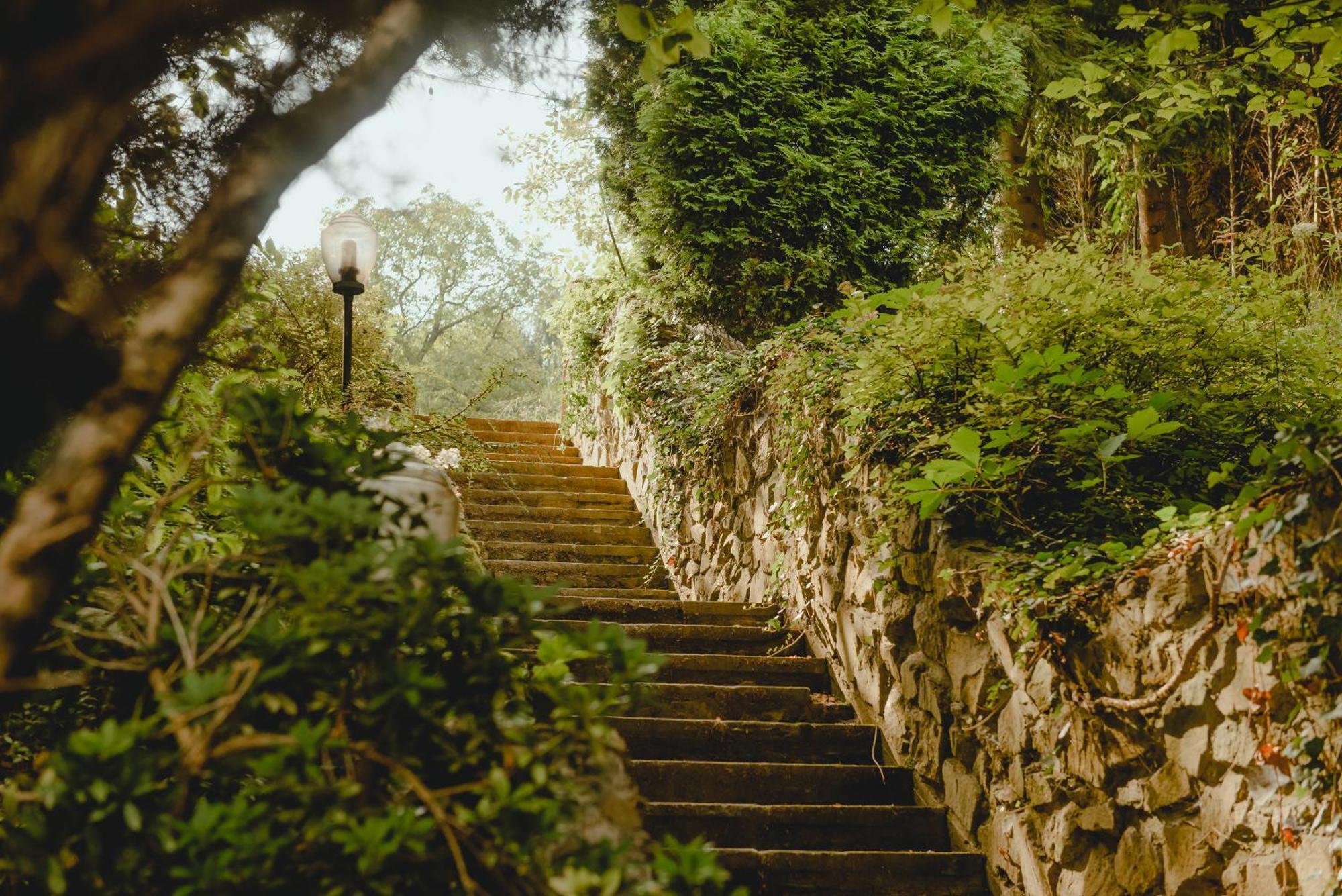 Blisshouse Luxurious Guesthouse Calm And Energetic Spot Near By City Surrounded By The Forest Where You Will Find Your Peace And Your People Cracovie Extérieur photo